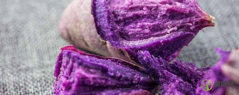 紫薯可以用微波炉烤熟吗(紫薯能不能放微波炉烤熟)
