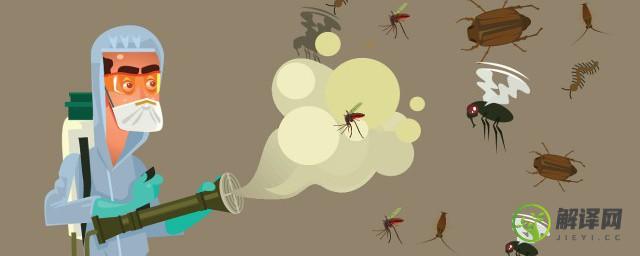 蚊子是怎么吸血的(蚊子是怎么吸血的放大1000倍)