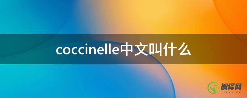 coccinelle中文叫什么(coccinelle百科)