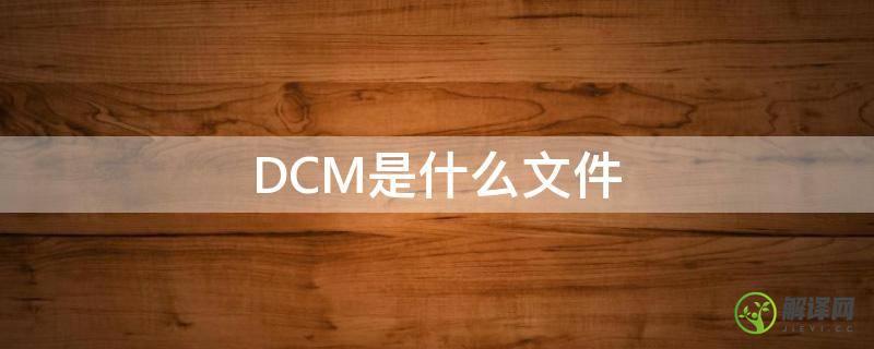 DCM是什么文件(.dcm是什么格式)