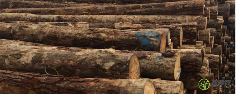 木头防腐处理的方法(木头防腐的传统方法)