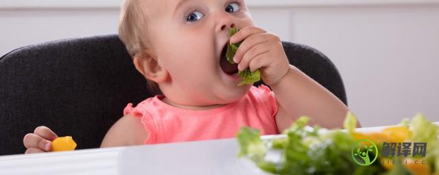宝宝不喜欢吃辅食怎么办(7个月的宝宝不喜欢吃辅食怎么办)