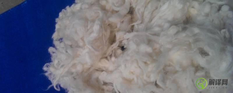 丝光羊毛和羊毛的区别(丝光羊毛是羊毛吗)