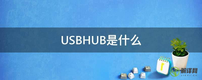 USBHUB是什么(usbhub是什么接口)