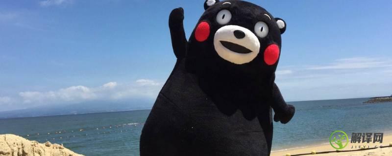日本熊玩偶叫什么(日本熊猫玩偶)