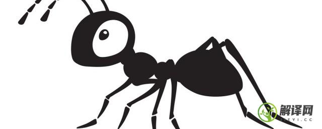 家里养花的盆里有蚂蚁怎么办(家里养的花里面有蚂蚁怎么办)