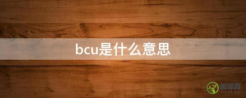 bcu是什么意思(电池bcu是什么意思)
