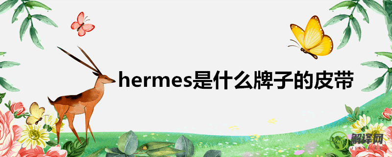 hermes是什么牌子的皮带(hermes是什么牌子的包包)