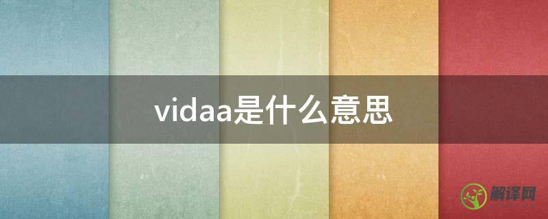 vidaa是什么意思(vidaa是什么意思投屏)