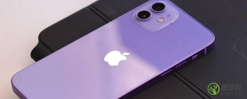 iphone12有紫色的吗(iphone 12有紫色的吗)