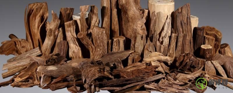 沉香是什么木材形成的(沉香是木材吗)