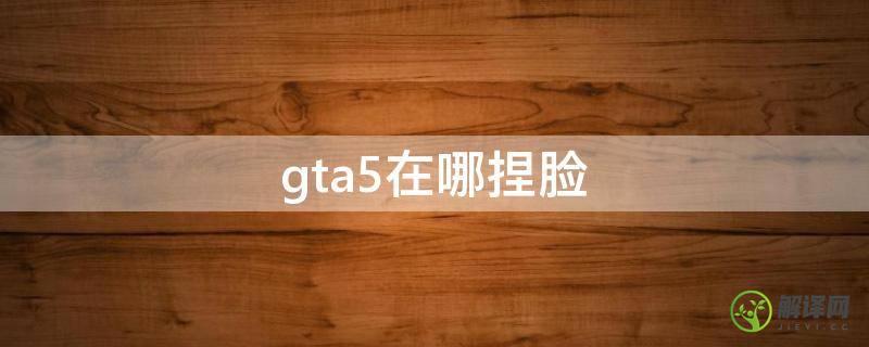 gta5在哪捏脸(GTA5在哪里捏脸)