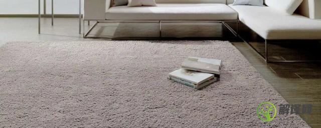 如何清洗家庭地毯(怎样在家里清洗地毯)
