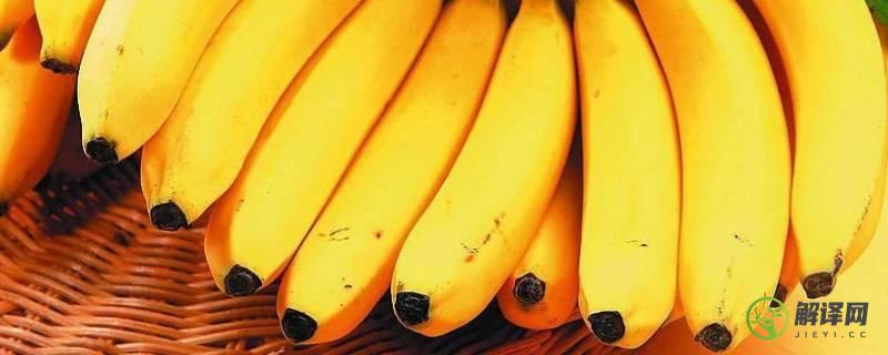 香蕉是高糖水果吗(香蕉是不是高糖水果)