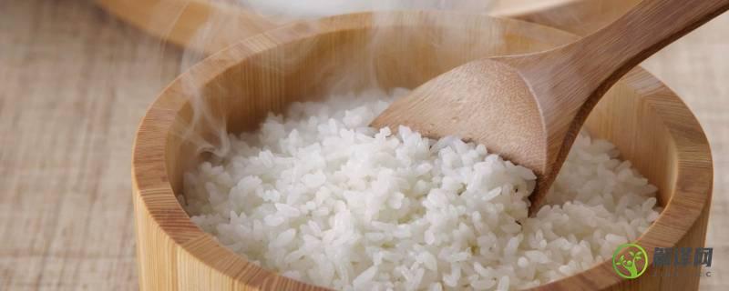 米饭的热量是多少大卡(100克糙米饭的热量是多少大卡)