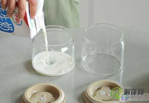 小熊酸奶机怎么做酸奶步骤(小熊酸奶机制作方法)