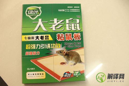 老鼠为什么不碰粘鼠板(为啥粘鼠板粘不到老鼠)