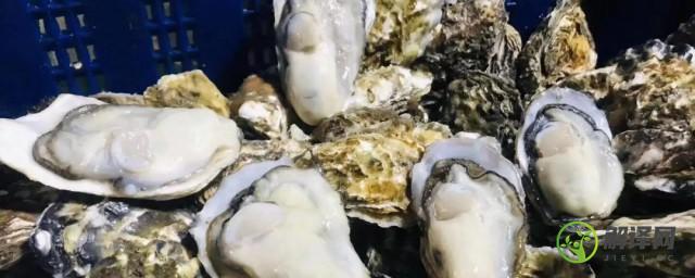 海蛎子什么季节的最肥最好吃(海蛎子这个季节肥吗)