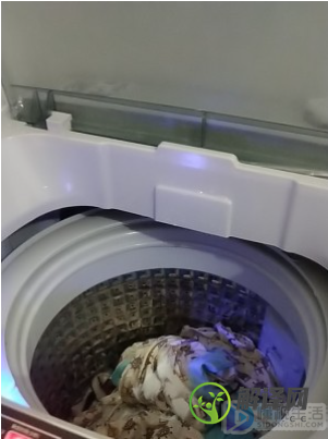洗衣机蓝光杀菌有用吗(志高洗衣机蓝光杀菌有用吗)
