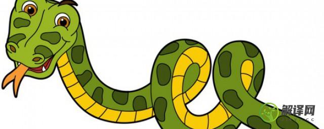 为什么蛇怕端午节(蛇为什么怕端午端午节跟蛇的故事)