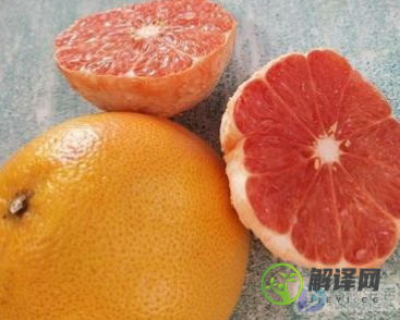 西柚和柚子有什么区别(西柚和柚子的区别?)