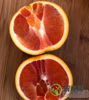 雪橙和血橙的区别(橙子和脐橙的区别)