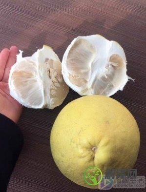 香泡和柚子的区别(香泡和柚子的区别果皮)