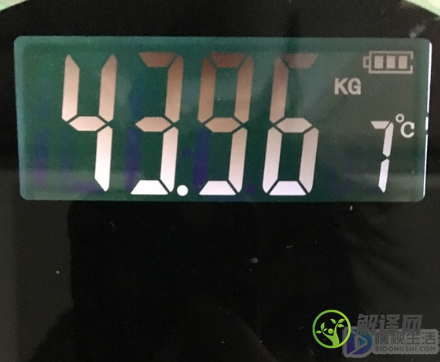 kg是斤还是公斤(kg是斤还是公斤的意思)