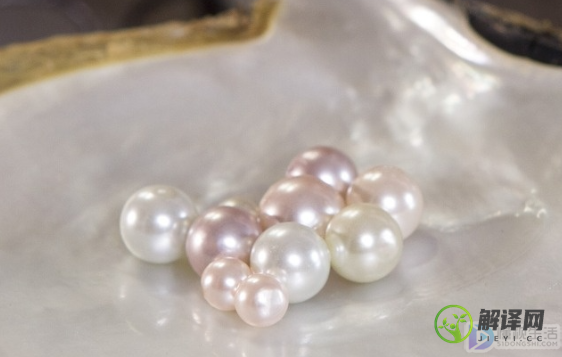 贝壳珠与珍珠的不同(贝珠和珍珠有什么不同)
