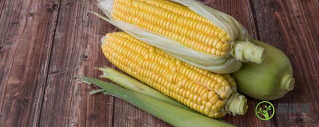 蒸带皮玉米一般需要多少长时间