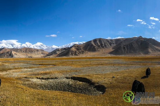 我国最西端位于新疆维吾自治区的什么高原