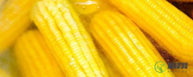 热水蒸玉米一般需要多少长时间