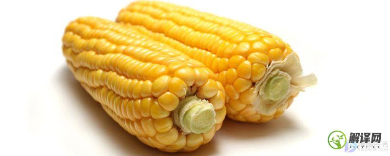 迪卡s1627玉米种子的特征特性(迪卡653玉米种子)