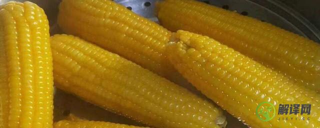 如何挑选非转基因玉米(怎样区别转基因玉米和非转基因玉米)