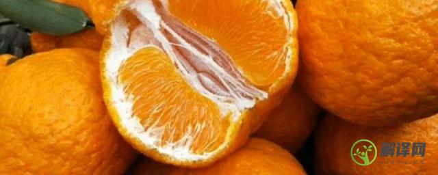 如何挑选丑橘(如何挑选丑橘和耙耙柑)