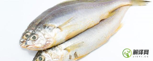 鱼头放冰箱可以吃吗(买的鱼头多了可以放冰箱保存吗?)