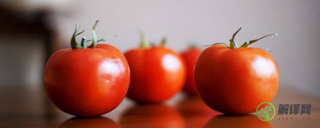 西红柿可以放冰箱冷冻保存吗(西红柿可以放冰箱冷藏保鲜吗)