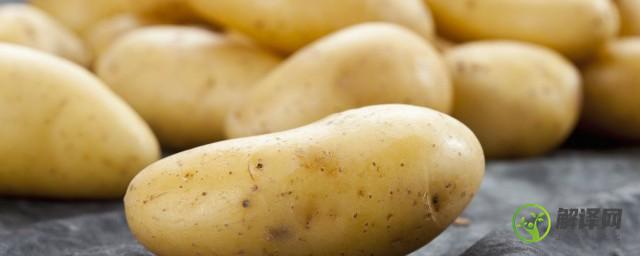 自己种的地里土豆发芽了怎么办