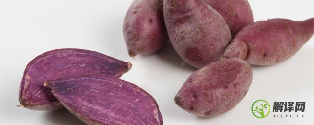 紫薯能放冰箱吗(紫薯不能放冰箱吗)