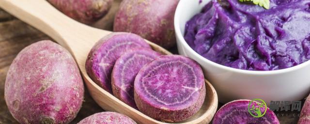 熟紫薯可以放冰箱吗(煮熟的紫薯可以放冰箱吗)