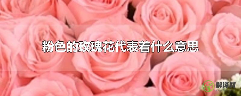 粉色的玫瑰花代表着什么意思(粉色玫瑰花的含义和代表什么)