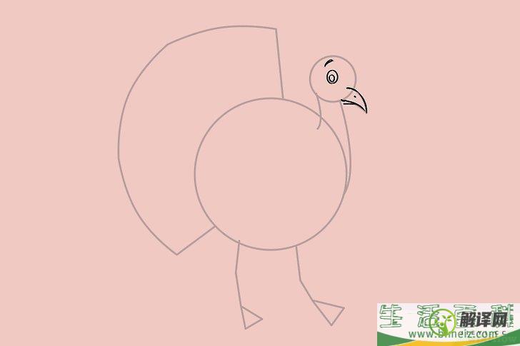 怎么画一只火鸡(火鸡的画法)