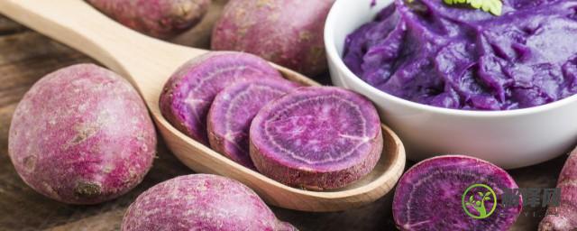 切块的紫薯蒸多久能熟(紫薯切片几分钟能蒸熟)