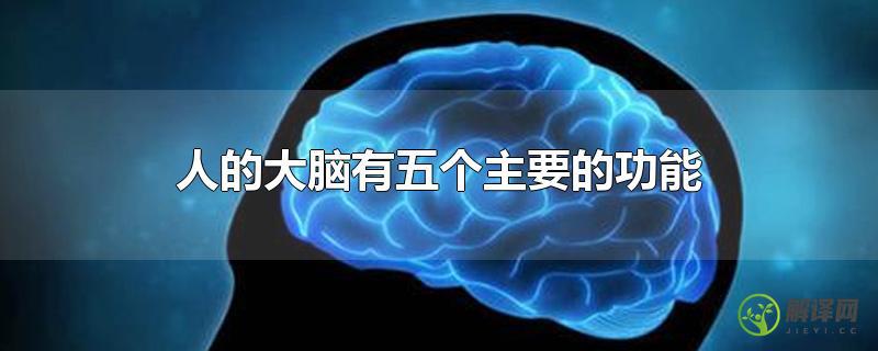 人的大脑有五个主要的功能(大脑具有的5个功能是什么?)