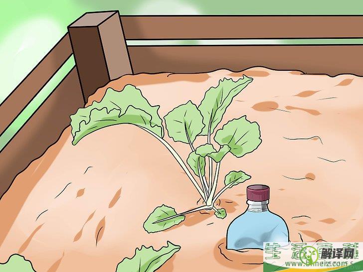 怎么在外出时给植物浇水(外出如何设置给花浇水方法?)