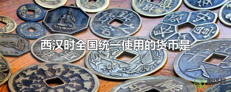 西汉时全国统一使用的货币是(西汉统一的货币是什么)