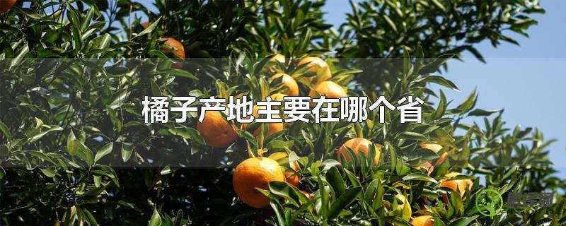 橘子产地主要在哪个省(橘子生产地在哪个省)
