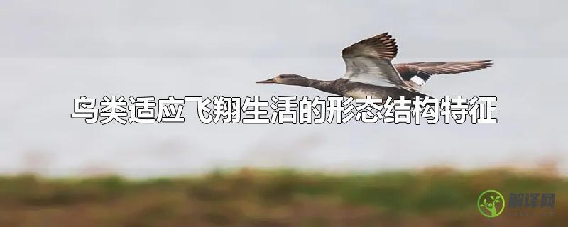 鸟类适应飞翔生活的形态结构特征(鸟类适应飞翔生活的形态结构特征对环境的适应)