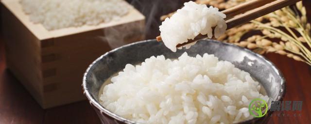 煮上米几分钟可以熟(米煮熟能放多久)