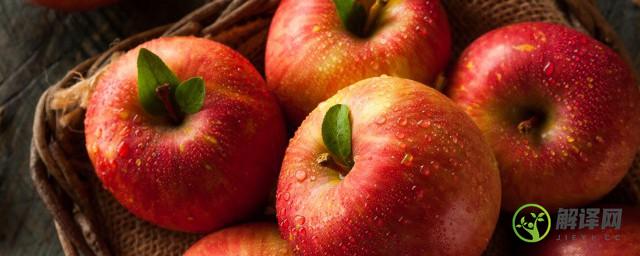 苹果一般煮几分钟能熟(煮熟的苹果能放几个小时)
